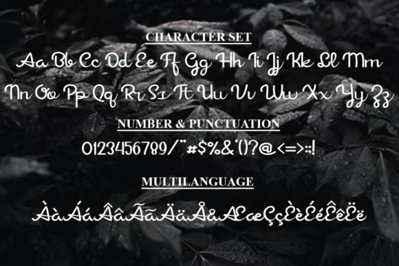 Asiatica Font - Preview 4