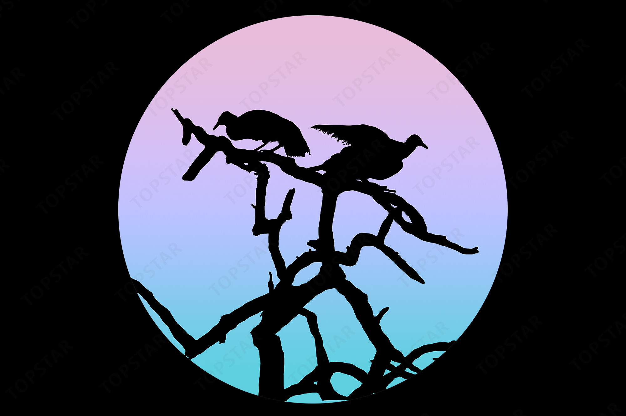 Bird Vulture Silhouette Tree Branch Free