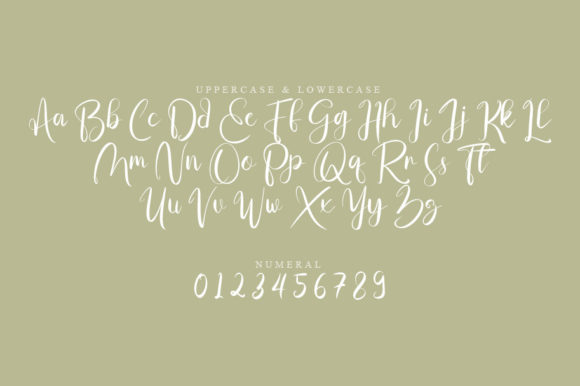 Mefig Script Font PNG with transparent background - Preview 1