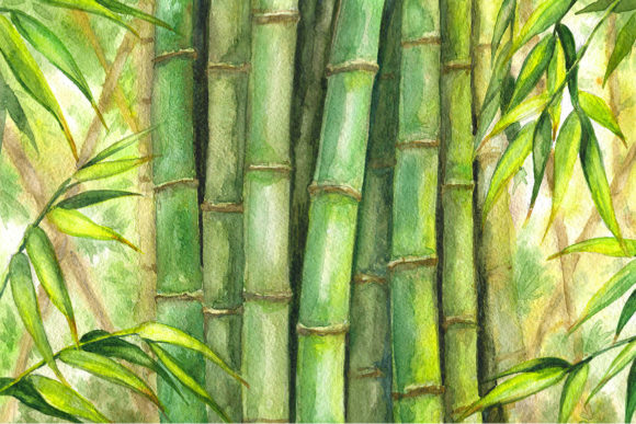 Green Bamboo Background Graphic Illustrations By Valentyna_S