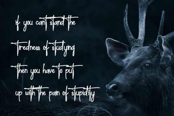 Angelina Signature Font - Preview 6