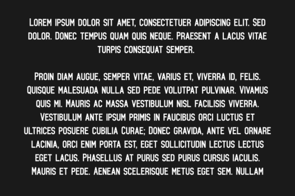 Bajigoor SW Font - Preview 4