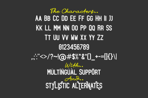 Bajigoor SW Font - Preview 5