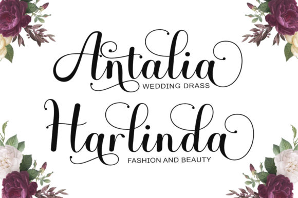 Balenta Script Font - Preview 3