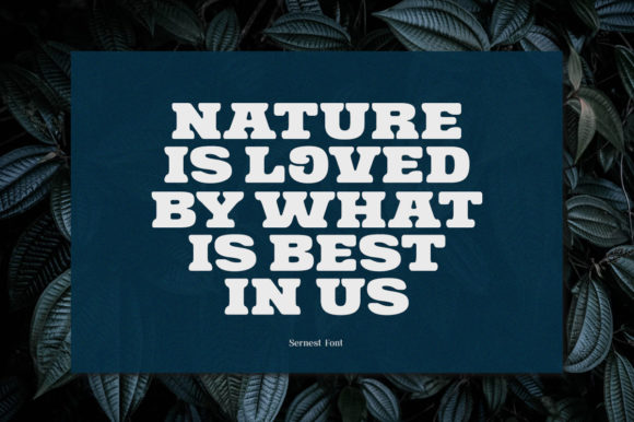 Sernest Display Font PNG with transparent background - Preview 4