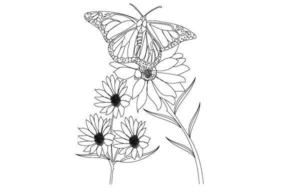 Butterfly Coloring Page SVG Cut file by Creative Fabrica Crafts ...