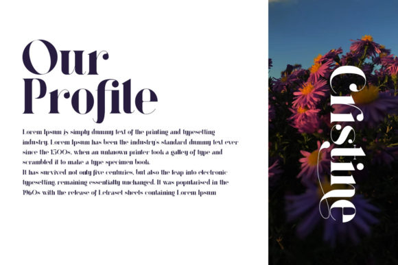 Aesther Font PNG with transparent background - Preview 1