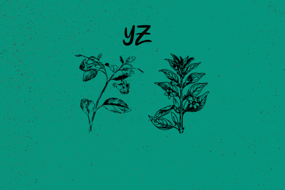 Botanique Font - Preview 4
