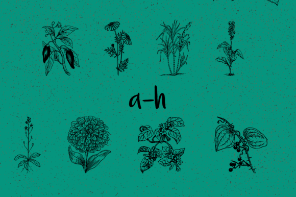 Botanique Font - Preview 5