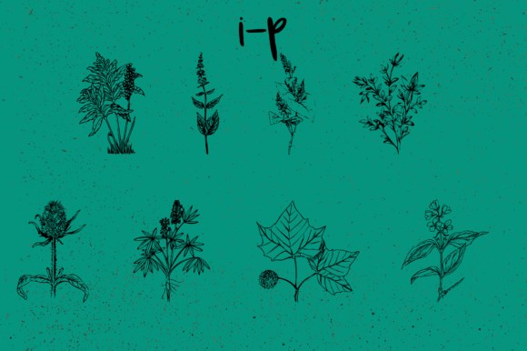 Botanique Font - Preview 6