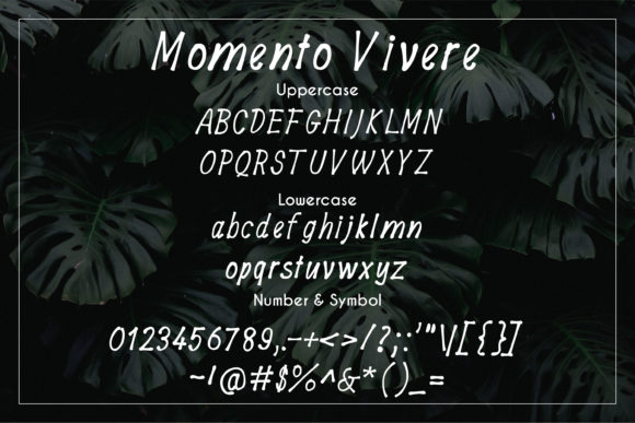 Momento Vivere Font PNG with transparent background - Preview 2