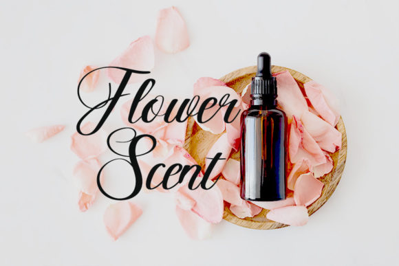 Perfume Shop Font PNG with transparent background - Preview 1