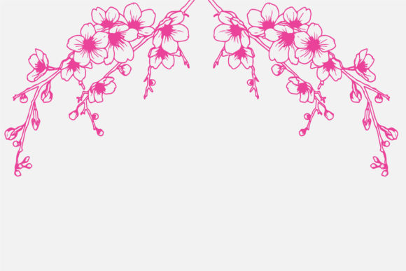 Hand Drawing Pink Cherry Blossom Branch