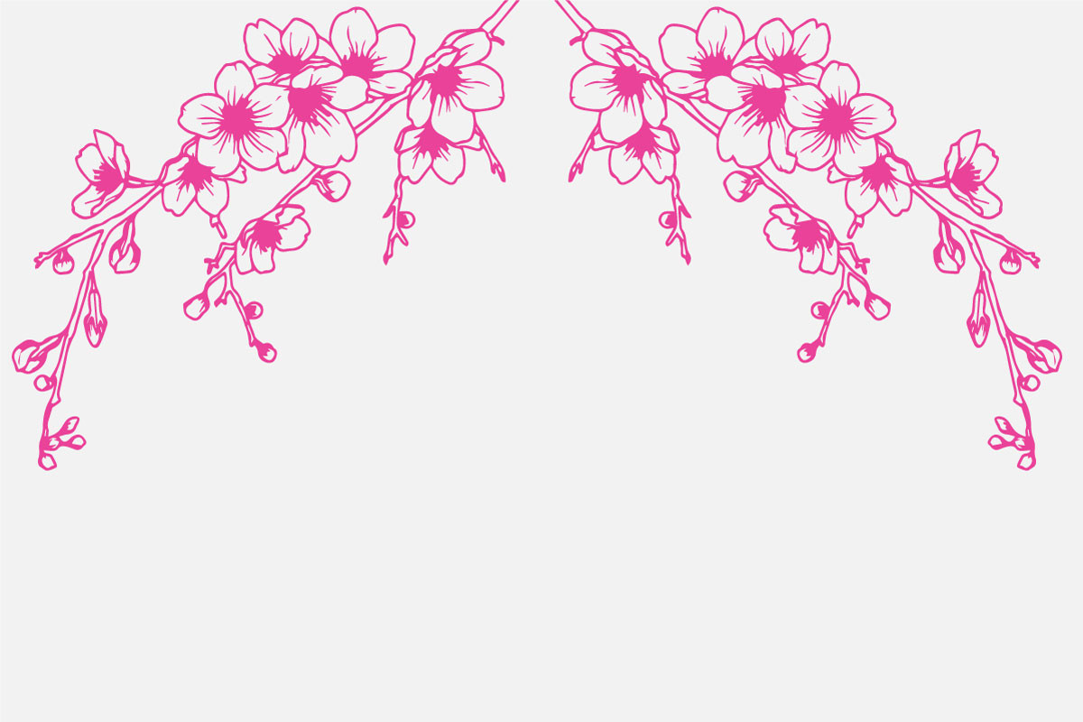 Hand Drawing Pink Cherry Blossom Branch