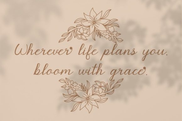 Graciola Font - Preview 3