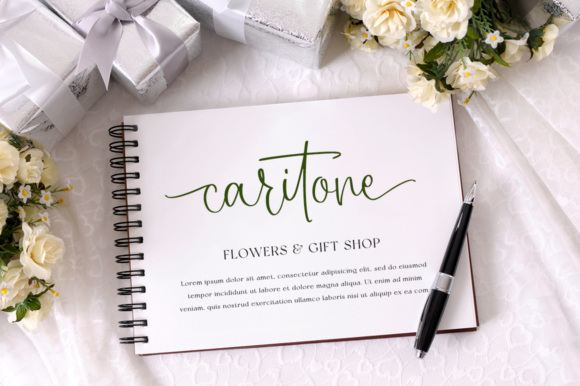 Caristian Font - Preview 2