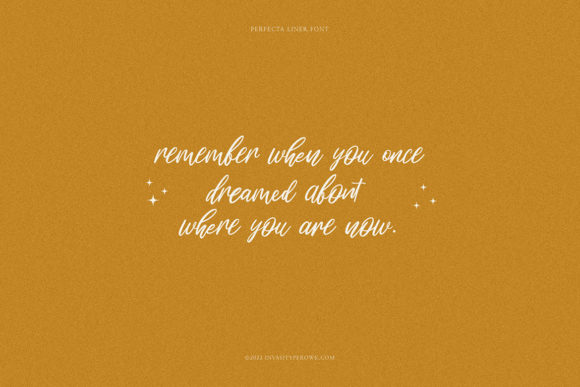 Perfecta Liner Font font preview - 1