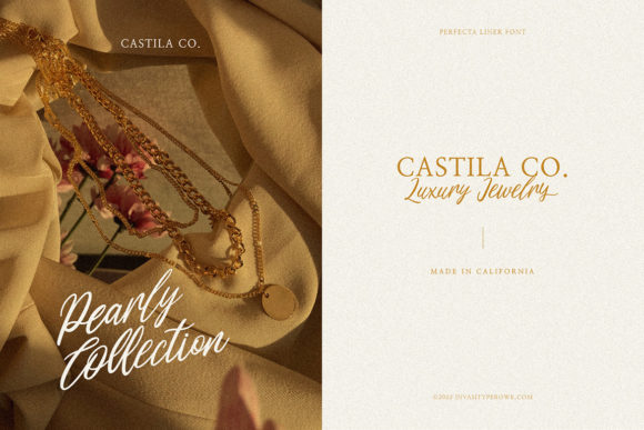Perfecta Liner Font font preview - 2