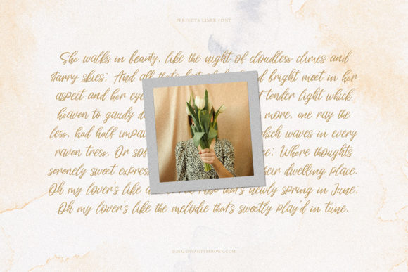 Perfecta Liner Font font preview - 4