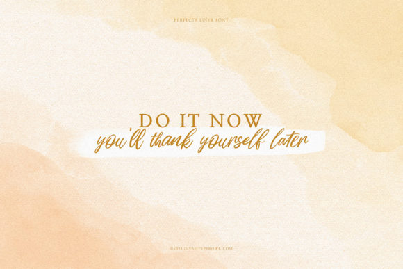Perfecta Liner Font font preview - 6