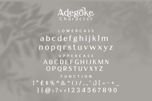 Adegoke Font - Preview 6
