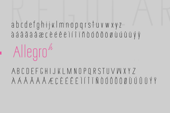 Allegro Sans Font - Preview 2
