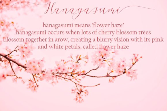 Cherry Blossom Script Font - Preview 1