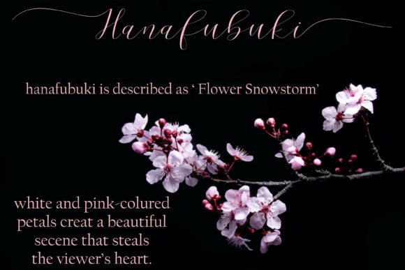 Cherry Blossom Script Font - Preview 3