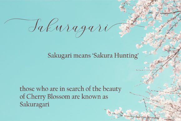 Cherry Blossom Script Font - Preview 6