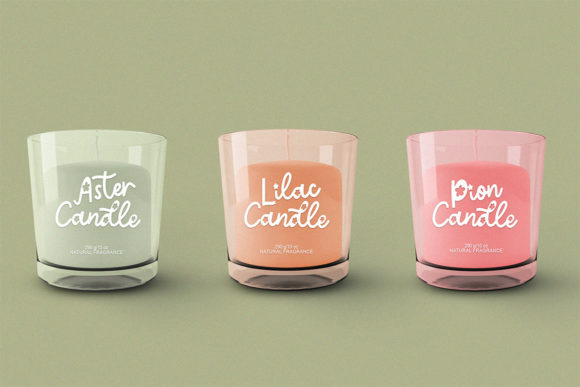 Field Gypsophila Font - Preview 4