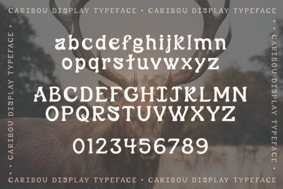 Caribou Font - Preview 1