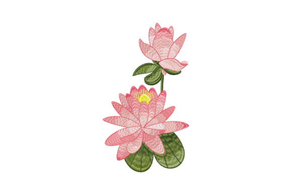 Pink Lotus Flower with Bud