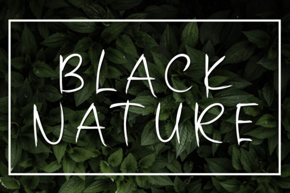 Hatake Japan Font - Preview 2
