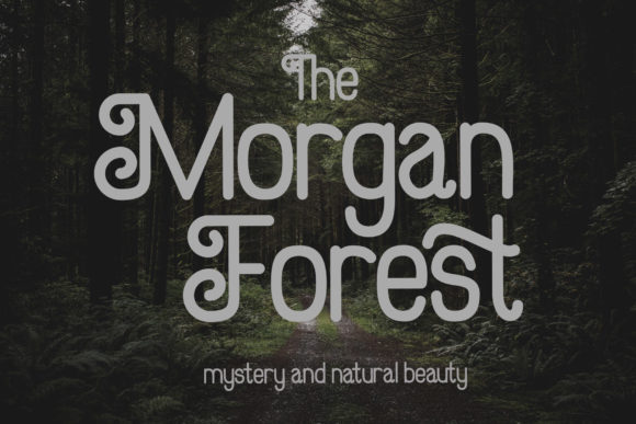 Hollybucks Font PNG with transparent background - Preview 3