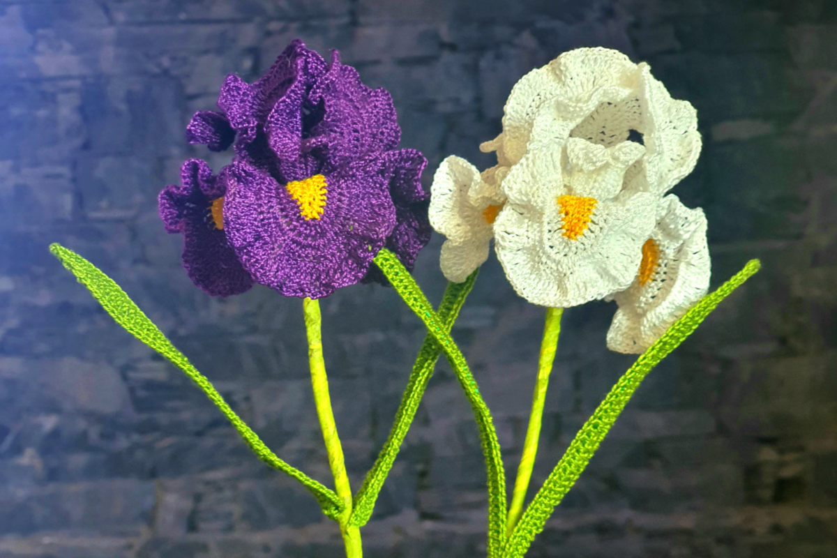 Iris Realistic Flower