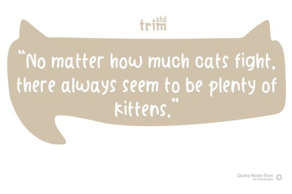 Quote Notes Font font preview - 3