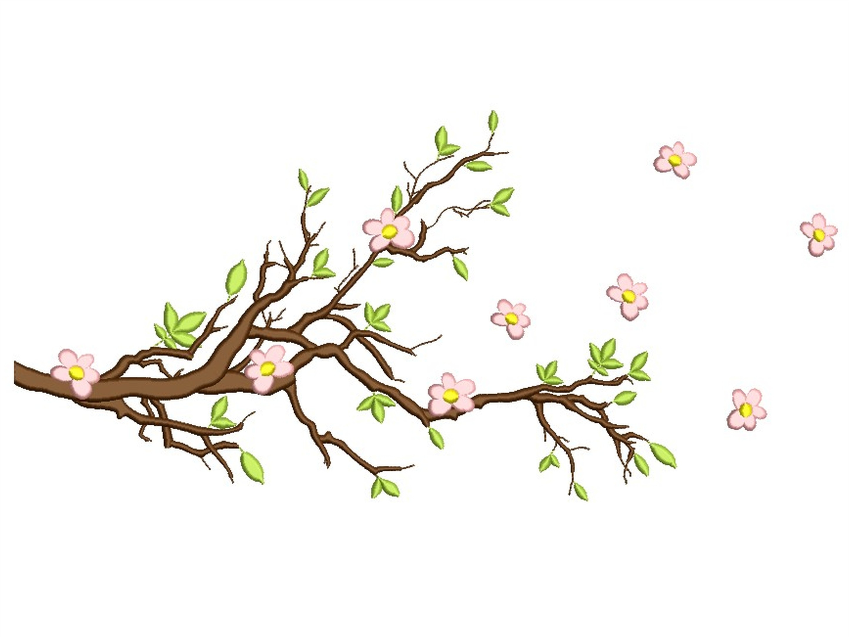 Spring Branch