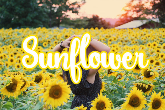 Lovers Font PNG with transparent background - Preview 1