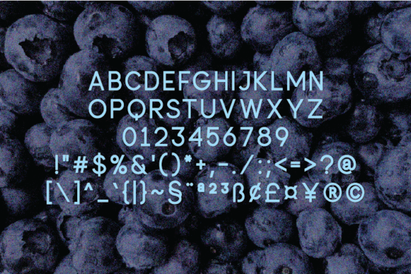 Berryblue Font - Preview 1