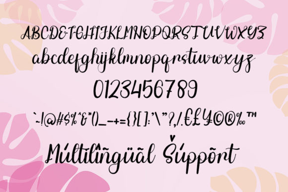 Amira Dabriela Font - Preview 4