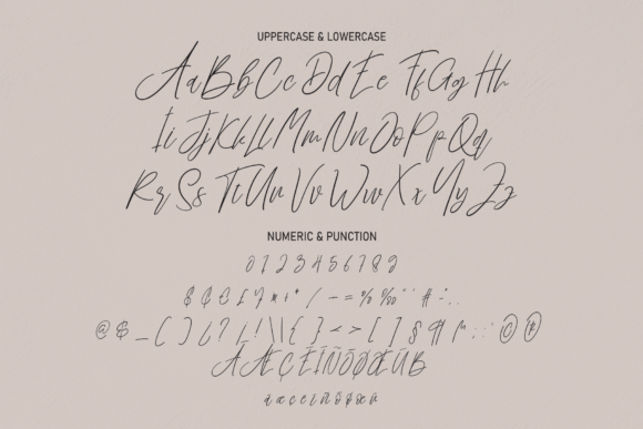 Brillian Signature Font - Preview 6