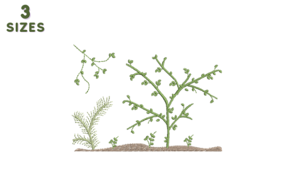 Creative Flower Border