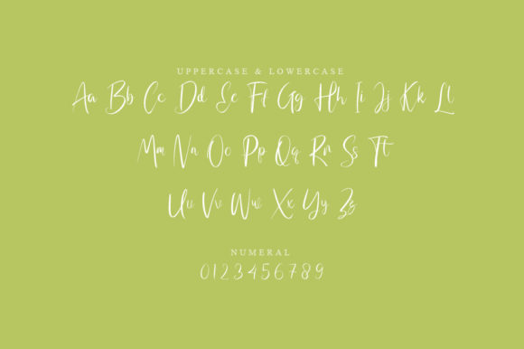 Erety Script Font - Preview 1