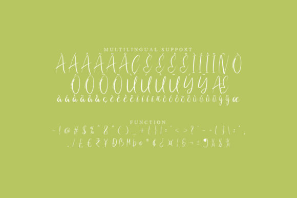 Erety Script Font - Preview 2