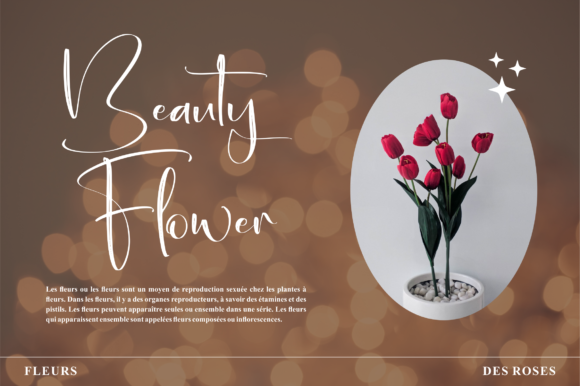 Fantasia Font - Preview 1
