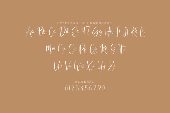 Seboz Script Font PNG with transparent background - Preview 1