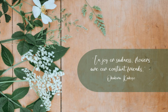 Seboz Script Font PNG with transparent background - Preview 3