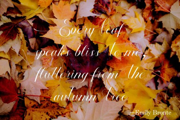 Autumn Font - Preview 4