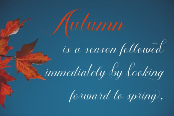 Autumn Font - Preview 5