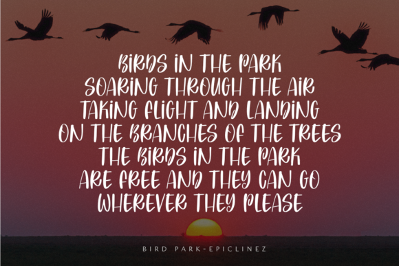 Bird Park Font - Preview 1